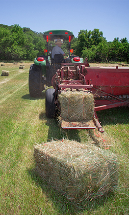 Depositphotos_436-263px